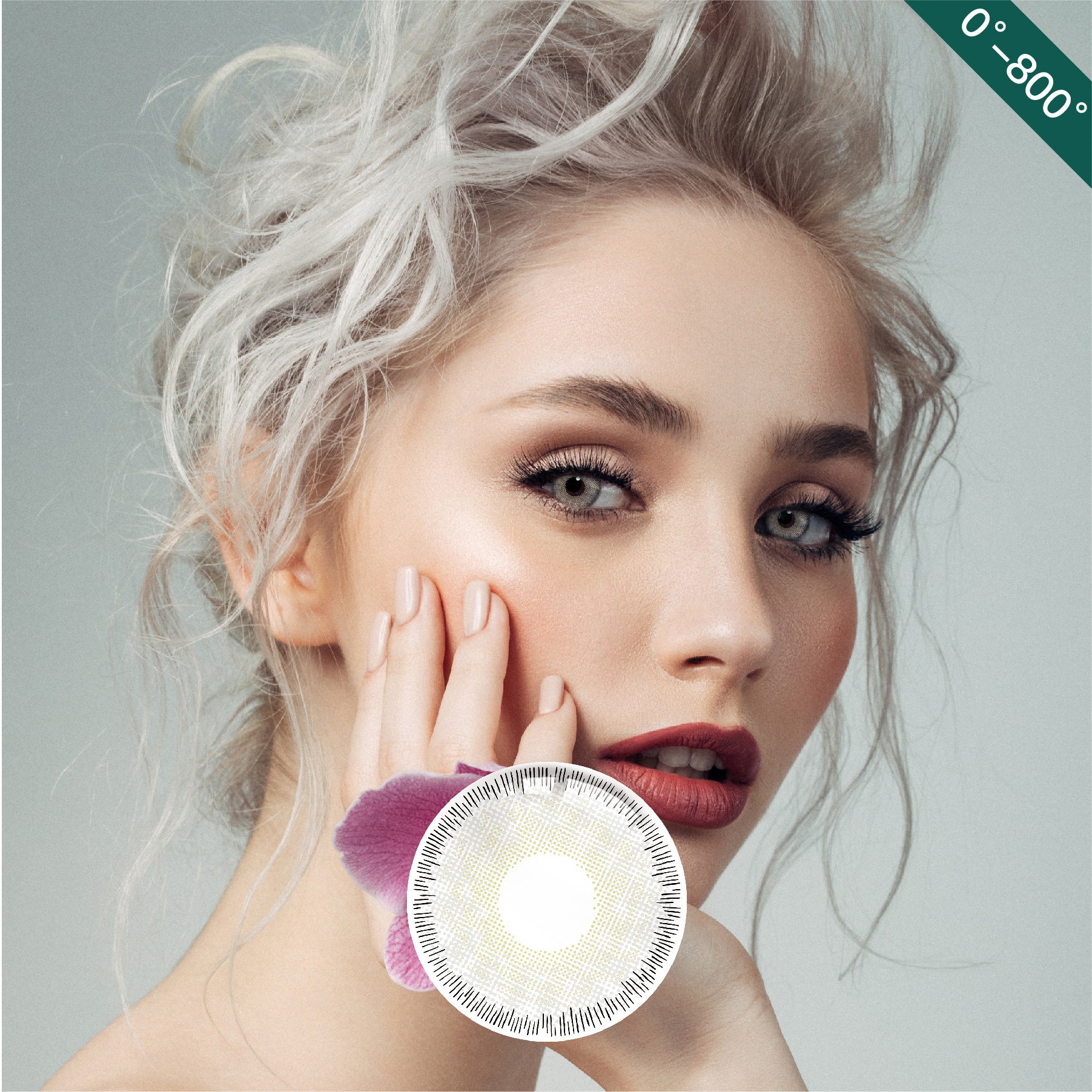 Phalaenopsis Shadow Gray